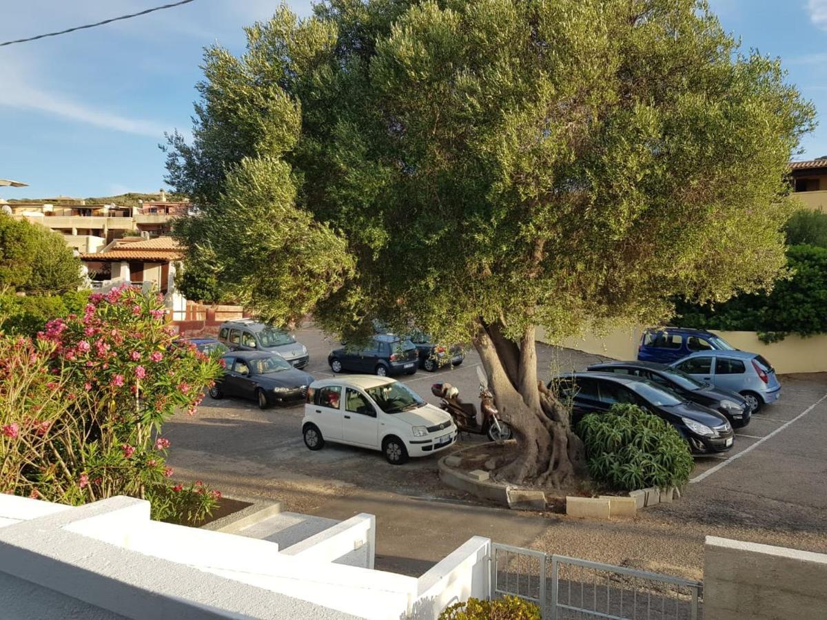 B&B Unique Art Santa Teresa Gallura Exterior foto